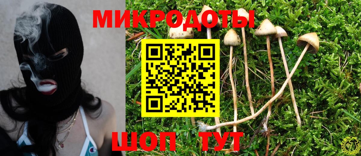 где можно купить   Псилоцибиновые грибы GOLDEN TEACHER  Вход с VPN  Галлюциногенные грибы Psilocybine cubensis  Карталы 