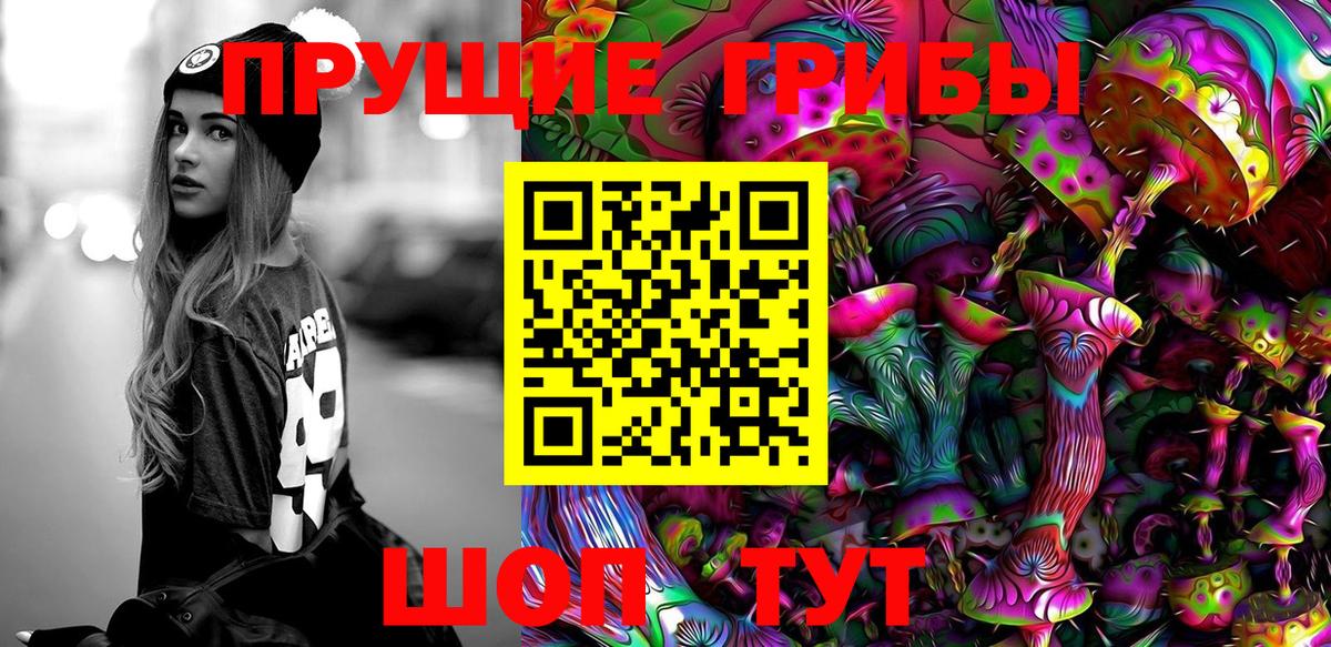 Псилоцибиновые грибы Psilocybe Карталы