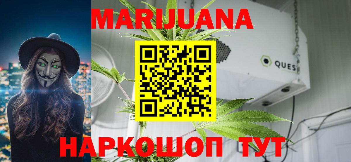 Каннабис SATIVA & INDICA Карталы
